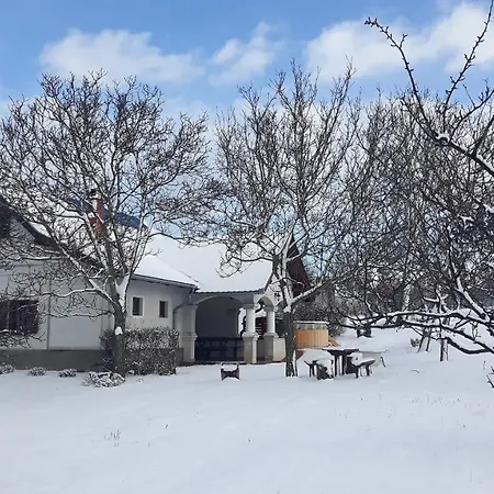 Гостевой дом Istvan Pince Vendeghaz Замарди