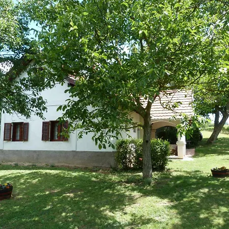 Guest house Istvan Pince Vendeghaz Zamardi