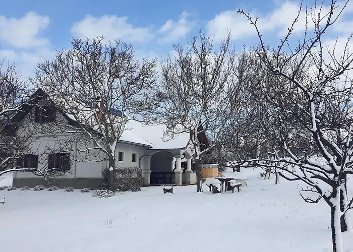 Гостевой дом Istvan Pince Vendeghaz Замарди