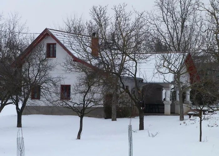 Gasthuis Istvan Pince Vendeghaz